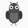 Noic owl mascot